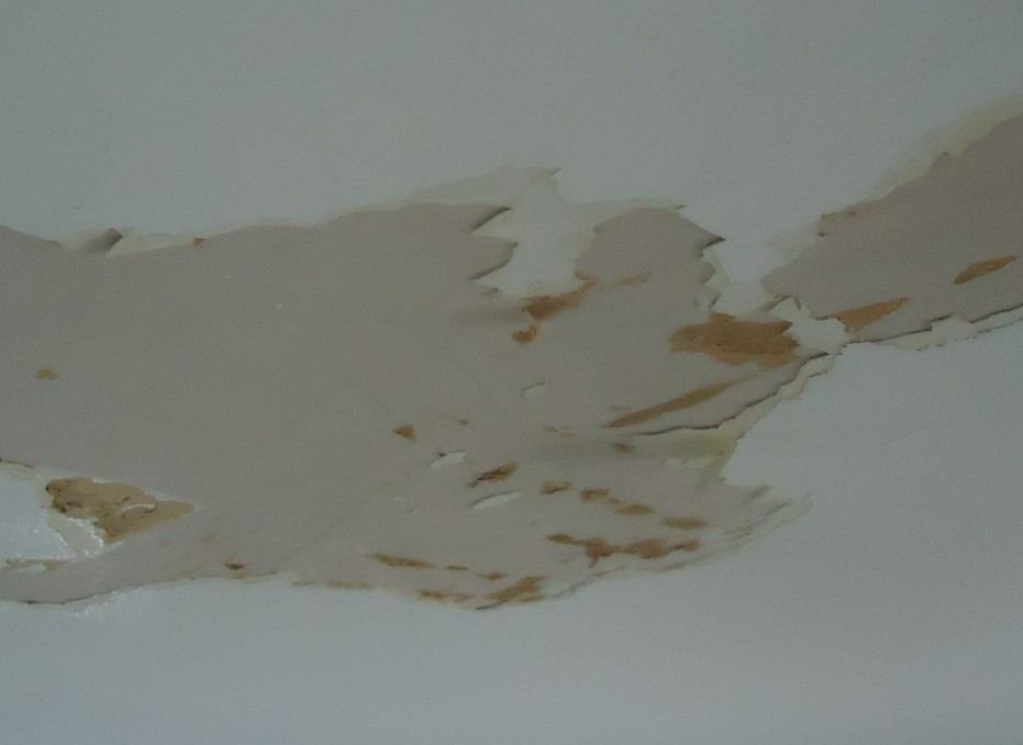 Stain at dining-room ceiling below hall bath