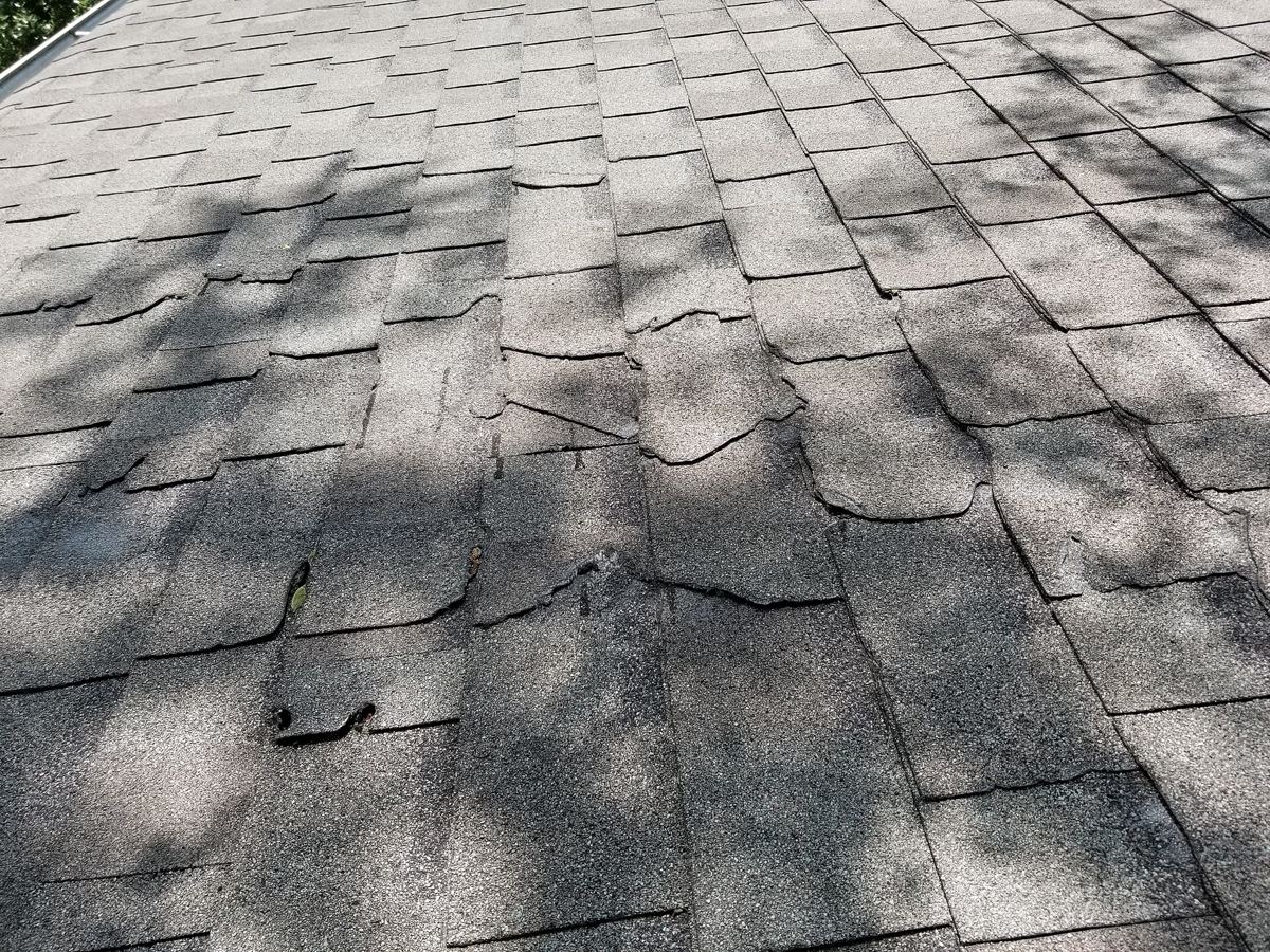 Granule loss and curling, south slope